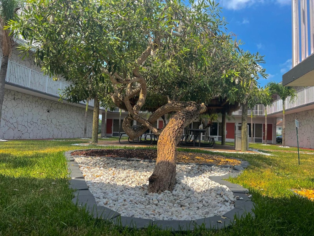 Garden Inn of Homestead